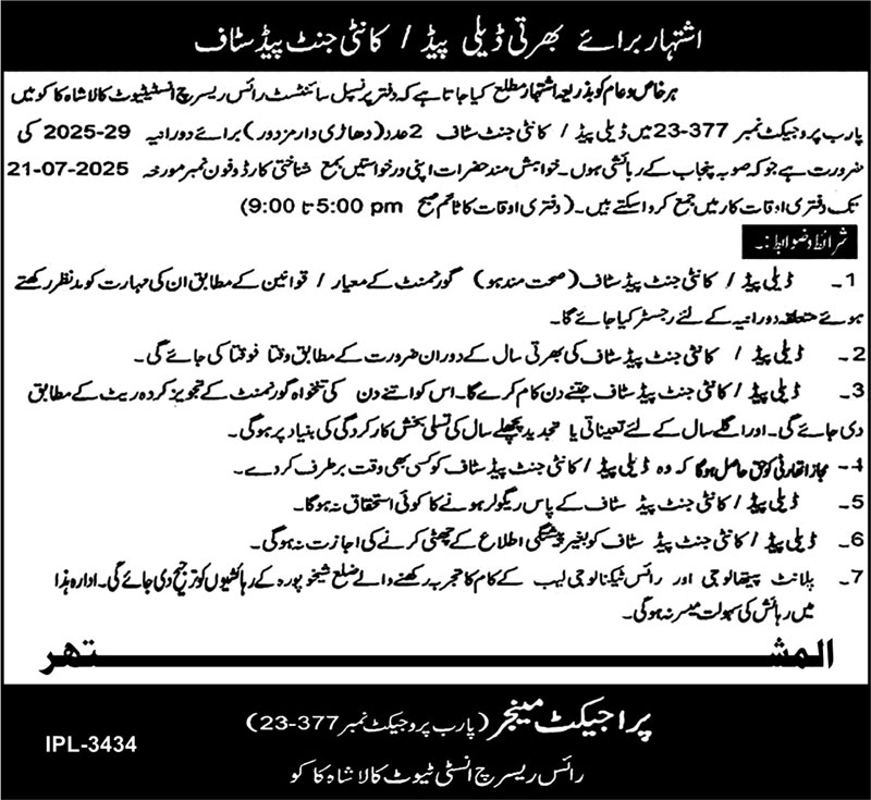 Jobs in Rice Research Institute Kala Shah Kaku
